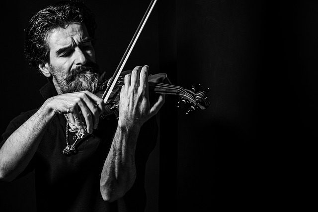 how many strings do a violin have