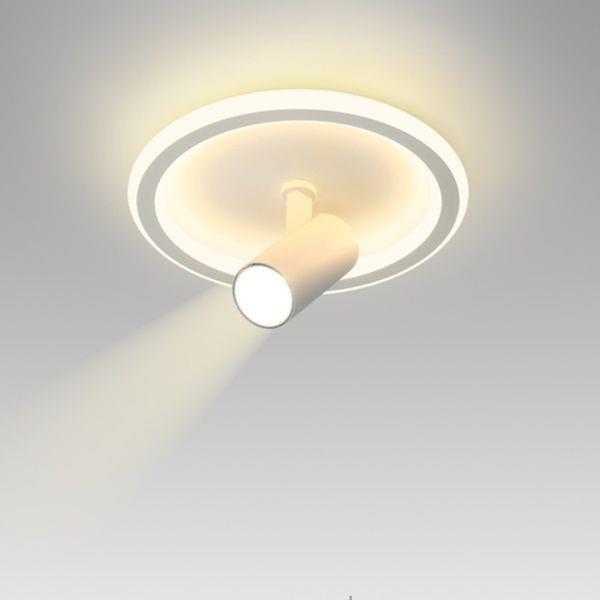 Aisle ceiling light, simple modern shop surface-mounted spotlight, entry door, entrance hall, corridor, rotating downlight, ceiling light