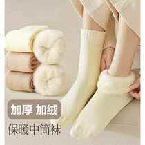 Zhuji Socks Womens Autumn and Winter Mid-Tube Socks Plus Velvet Thickened Plush Long Tube Socks Floor Sleeping Extra Thick Stockings
