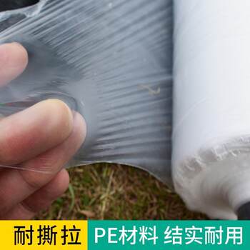 Mulch agricultural white mulch engineering film planting film mulch film disposable thin agricultural film anti-freeze and warmth