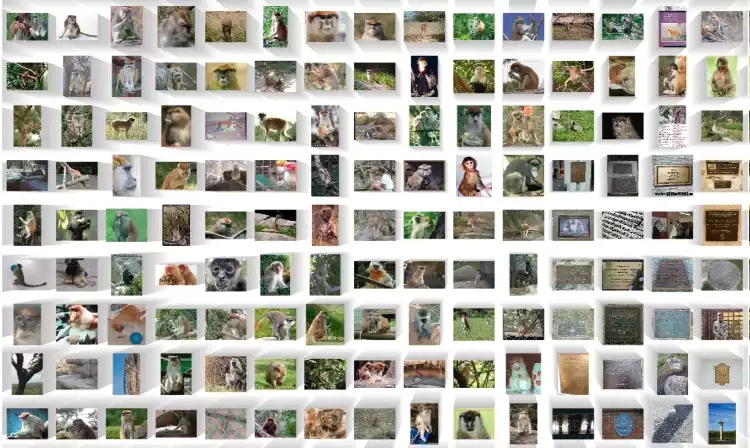 A sample of the ImageNet Dataset