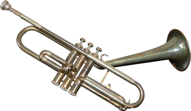 how to hold the trumpet