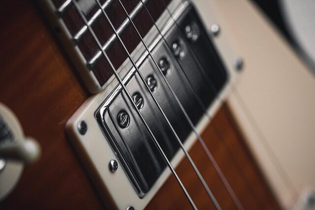 who owns gibson guitar company