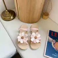 Четыре листового хризантема [розовый]