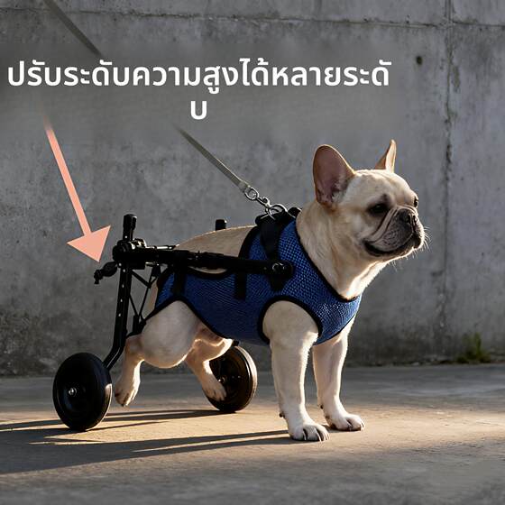 Dog Cart with Rear Wheelchair for Pets, Auxiliary Cart for Disabled or Paralyzed Animals, Rehabilitation Support, Elderly Wheelchair for Mobility Issues