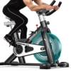 Yingerjian spinning bicycle magnetically controlled home smart exercise bike fitness equipment gym folding exercise bike