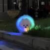 Dog walking artifact dog luminous collar night pet anti-lost locator fluorescent bright dog collar neck collar