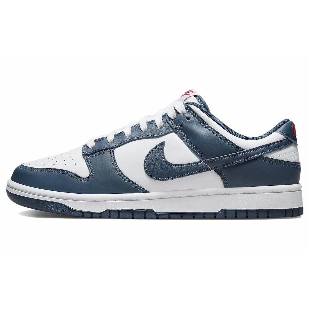 Nike Dunk Retro 