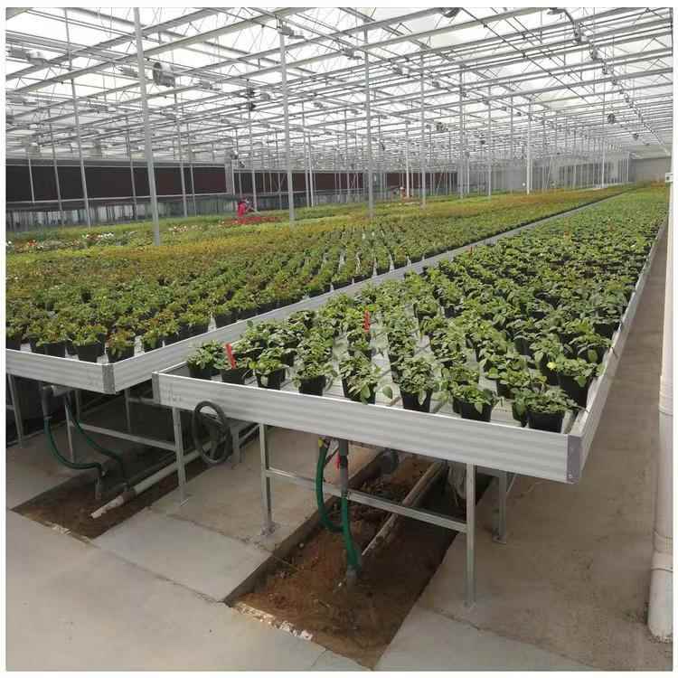 潮汐苗床：种花也能“冲浪”？现代农业的秘密武器