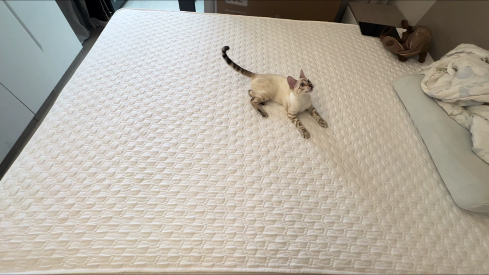 Tmall buyer photo