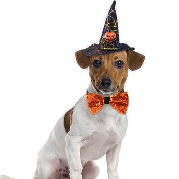 New halloween pet set wizard hat bow tie cat dress up dog funny accessories