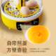 Foreign Trade Fully Automatic Incubator, Household Small Egg Incubator, Egg Hatching Device, Smart Chick Hatching Machine