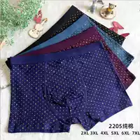 CZ51-2205 Gongzi смешанного цвета