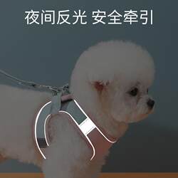 Special Traction Rope for Cats to Prevent Escape, Suitable for German Rex Cats and Hairless Cats, Cat Leash for Outdoor Use, Kitten Collar