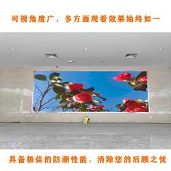 Zhouda zcg-p2.5 Minglanpu 풀 컬러 Leed Screen P Country. 고화질 LD 전자 화면은 모두 뜨거운 판매 LED 홀입니다.