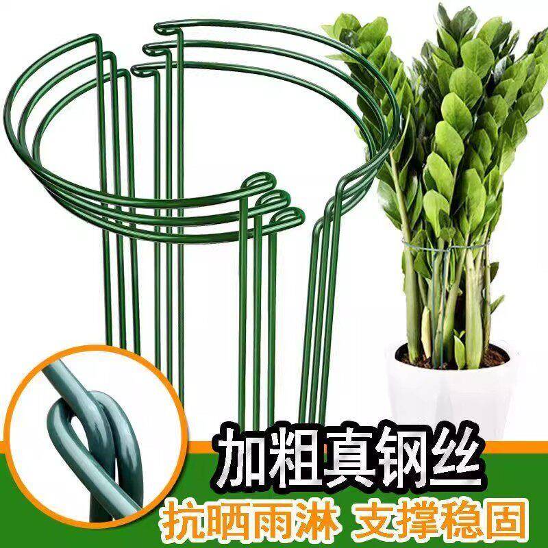 Money Tree Support Pole Flower Stand Hydrangea Monstera Bird of Paradise Flower Support Frame Plant Fixing Anti-Tumble Bracket