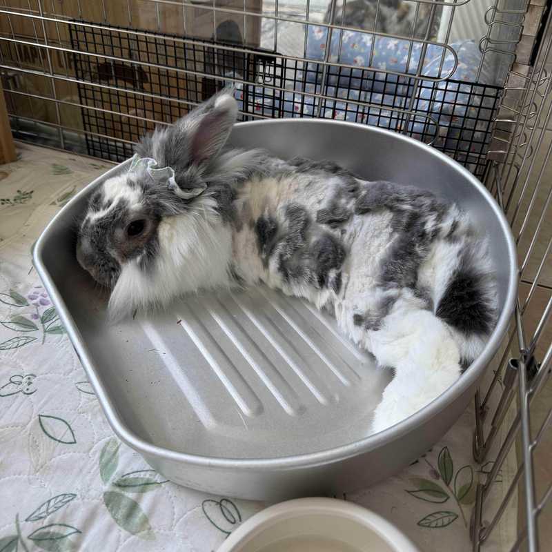 Love to Lie down in a Large Aluminum Basin~ Rabbit Summer Cooling Nest Cooling Pad with High Heat Dissipation, Round Pet Cooling Board Mat