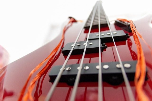who plays bass in the beatles