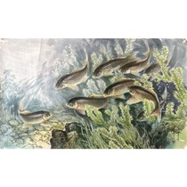 Nine Fish Pictures by Xu Guangyi the meritorious painter of Korean animal traditional painting living room and study decoration collection