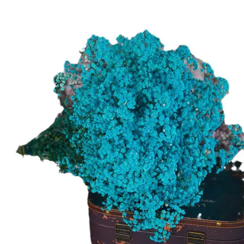 Сушеная гипсофила, сухоцветы, букеты из сухоцветов, большие букеты, прямые продажи с фабрики, бессмертные цветы, материал своими руками, настоящие цветы, украшения, предметы интерьера