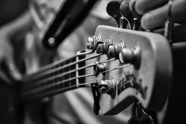 how to learn bass guitar