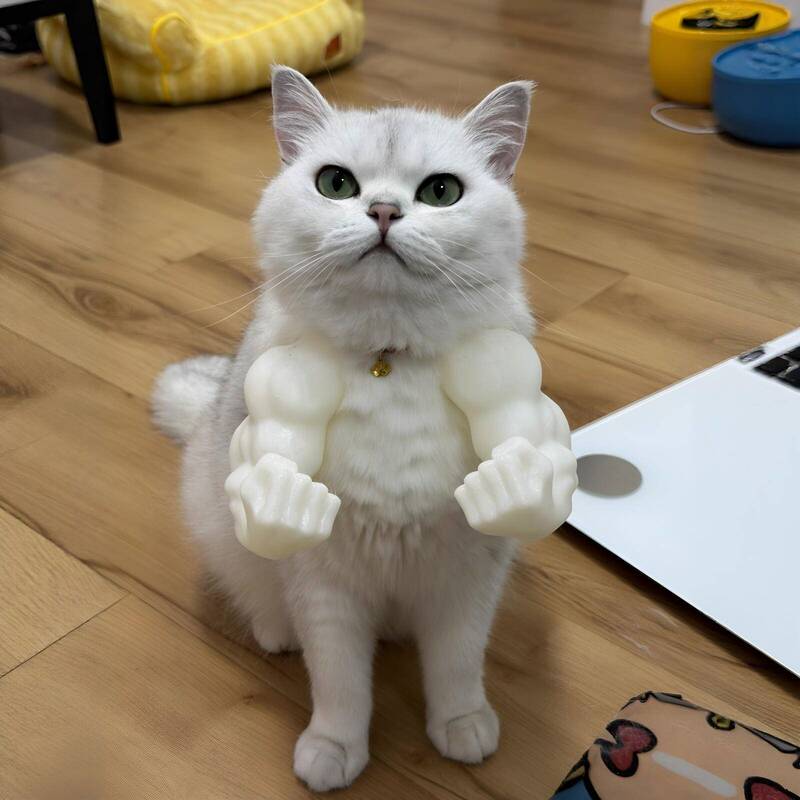 【Muscle Mighty Cat】3D Printed Cat Muscle Arms Pet Hulk Hanging Neck Arm Funny Boxing Model 【Muscle Mighty Cat】3D Printed Cat Muscle Arms Pet Hulk Hanging Neck Arm Funny Boxing Model