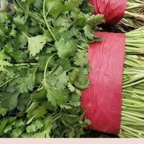 Bale Rope Gar Bale Wide Flat Show Anti-Slip Vegetable Plastic Rope Bale Leeks Spinach Spinach celery Celery Onion Big Tie Rope Packing Rope