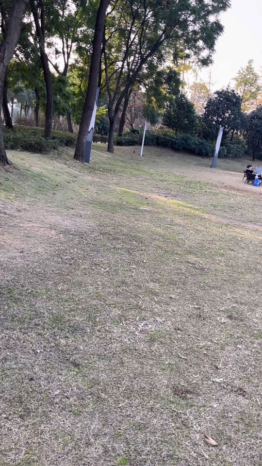 Tmall buyer photo