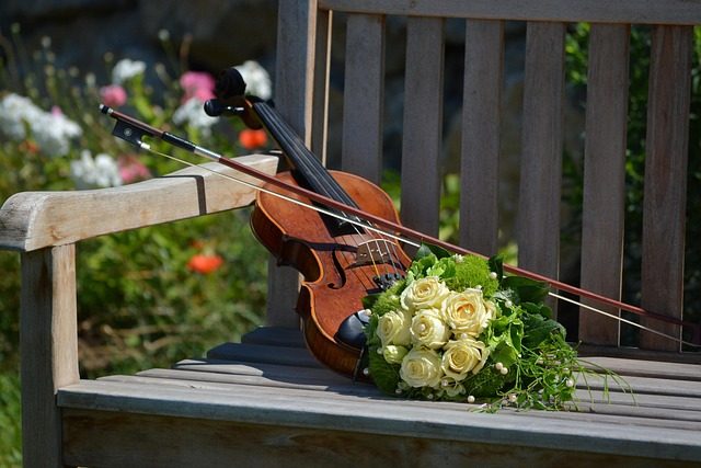 what are violin bows made of