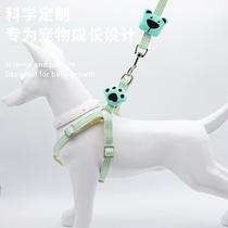 Bear head leash dog leash dog chain rope large medium and small dog walking pet collar cat teddy rope supplies