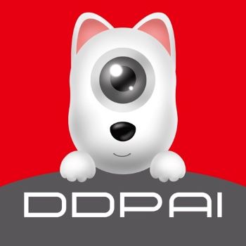 DDpai