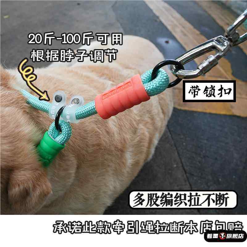 Thickened and Reinforced Large Dog Leash, Anti-Shock Collar, Labrador P Chain, Sturdy Dog Leash for Large Dogs, Double-Layer Rope