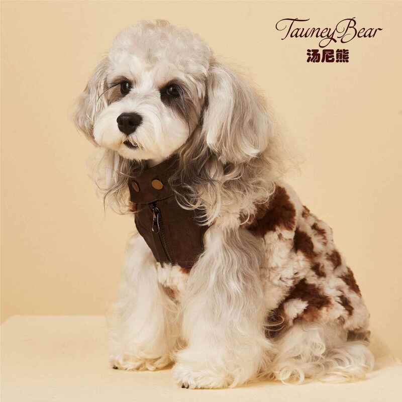 Autumn and Winter Dog Clothing, Armor Jacket, Pet Clothing for Schnauzer, Yorkshire Terrier, Maltese, Dibitai, Sleeveless Patchwork Bear Autumn and Winter Dog Clothing, Armor Jacket, Pet Clothing for Schnauzer, Yorkshire Terrier, Maltese, Dibitai, Sleeveless Patchwork Bear