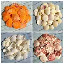 Natural shells white shells coconut shells scallop shells fish tanks aquariums scallops window stickers wall decorations DIY punching