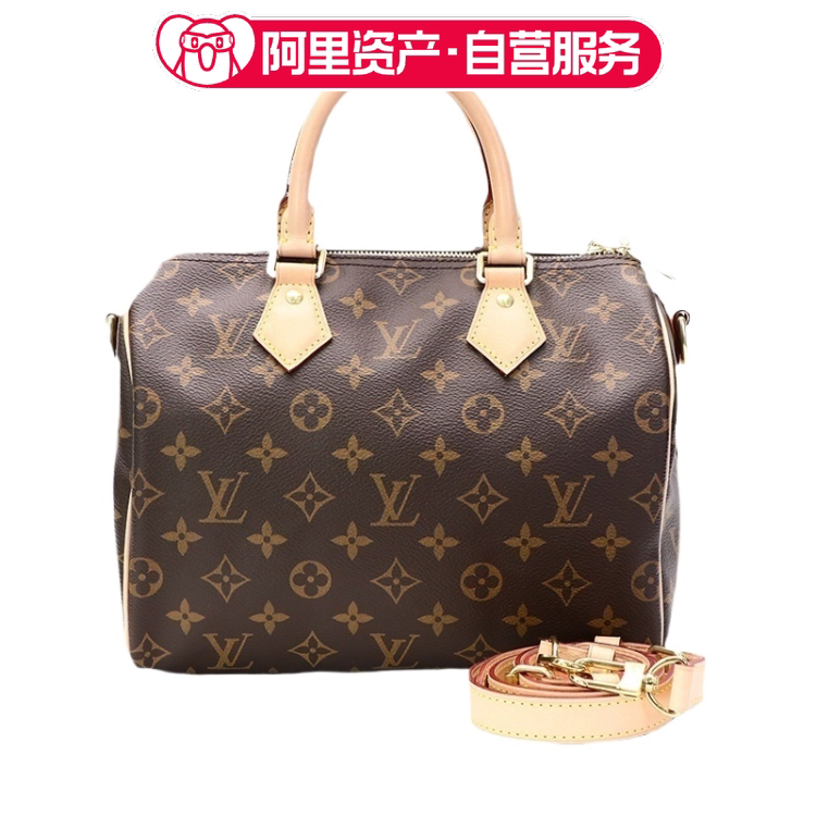 Lv Louis Vuitton Speedy25 Pillow Bag with Monogram Canvas Shoulder Strap
