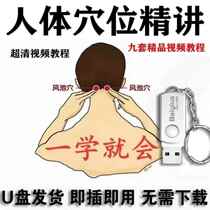 Traditional Chinese Medicine Meridians and Acupuncture Points Teaching Video U Disk Human Body Acupuncture Points Tutorial Explaining Massage Massage and Acupuncture