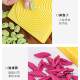 Household Kneading Board for Making Cat Ear Noodles, Multi-Functional Noodle Board for Shanxi and Shaanxi Style Noodles