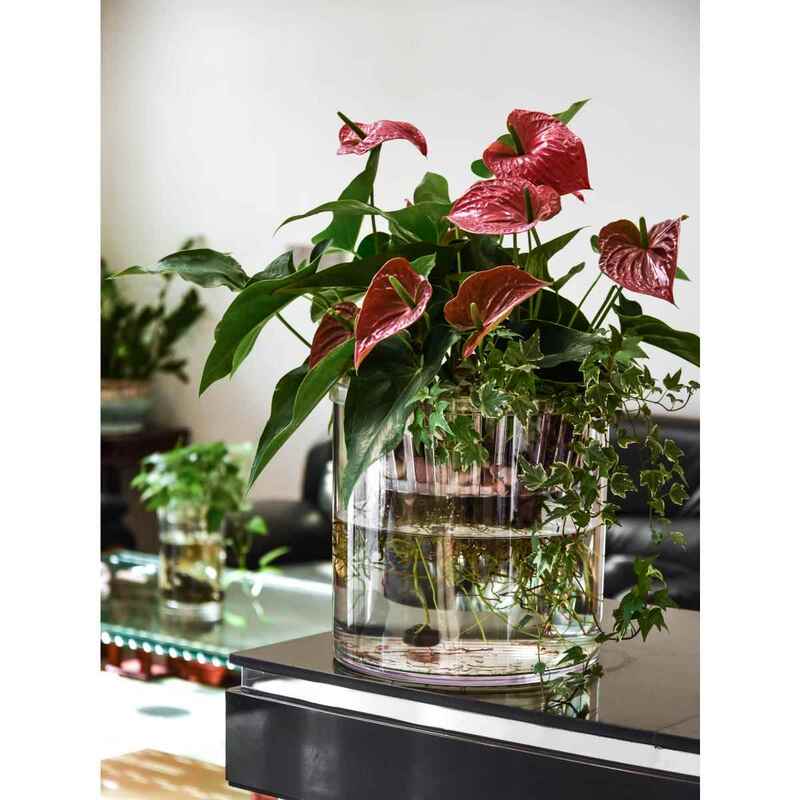 Hydroponic Plant Fixer Planting Basket Flower Green Basket Vase Soilless Planting Basket Large Size Hydroponic Plant Fixer Planting Basket Flower Green Basket Vase Soilless Planting Basket Large Size