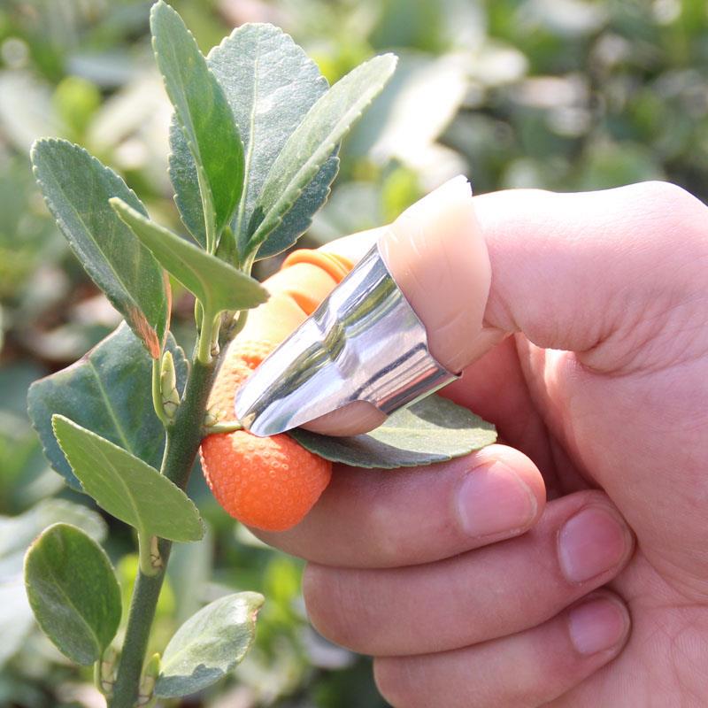 Corn Peeling Tool for Home Use, Glove Finger Cover for Picking Vegetables, Garlic, Pepper, Chili, and Tea Leaves