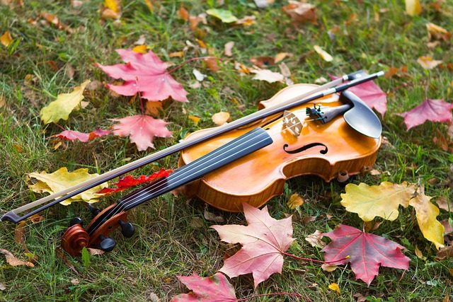how to play the violin