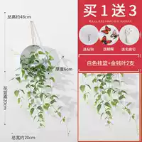 Белая висящая корзина+деньги 2 [дайте бабочку+освобожденную точку крючка]