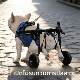 Dog Cart with Rear Wheelchair for Pets, Auxiliary Cart for Disabled or Paralyzed Animals, Rehabilitation Support, Elderly Wheelchair for Mobility Issues