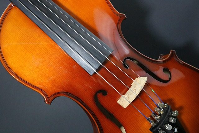 what is the difference between a fiddle and a violin