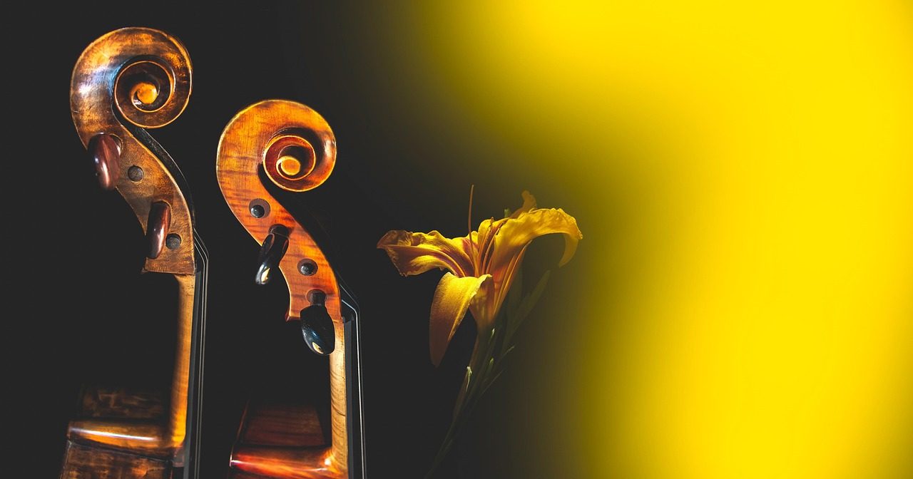 a cello