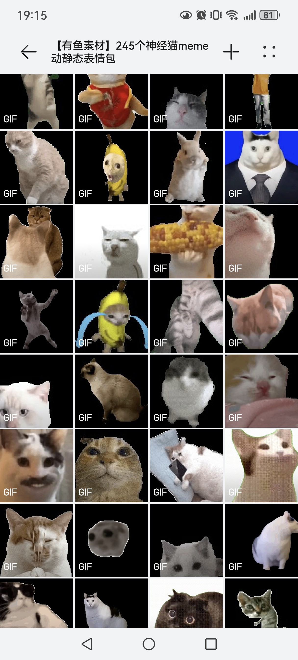 500+个耄耋猫meme动静态表情包微信群斗图抖音自媒体素材沙雕搞笑-淘宝网