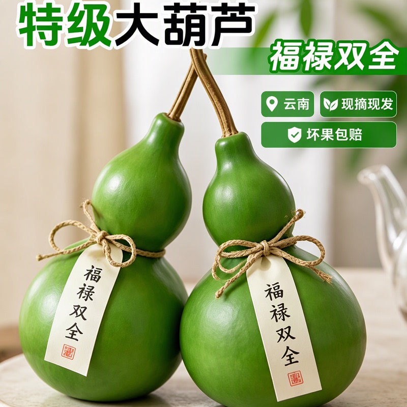 Fresh Premium-Grade Green-Skinned Gourds from Yunnan, Jade Gourds, Fortune and Prosperity Fruits, Decorative Items for Attracting Wealth and Good Luck, Home Decoration, Floral Materials Fresh Premium-Grade Green-Skinned Gourds from Yunnan, Jade Gourds, Fortune and Prosperity Fruits, Decorative Items for Attracting Wealth and Good Luck, Home Decoration, Floral Materials