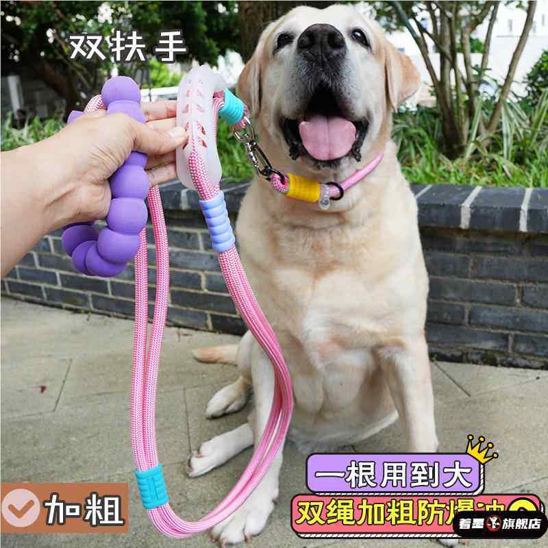 Thickened and Reinforced Large Dog Leash, Anti-Shock Collar, Labrador P Chain, Sturdy Dog Leash for Large Dogs, Double-Layer Rope