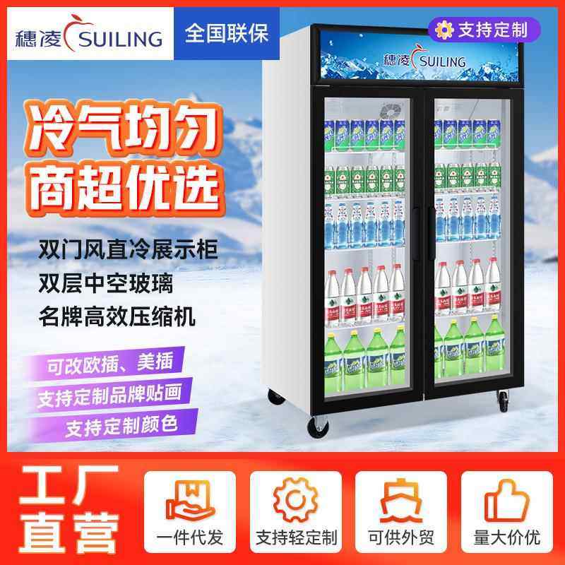 冰柜展示柜立式饮料柜商用冷柜大容量超市便利店双门工厂冰箱