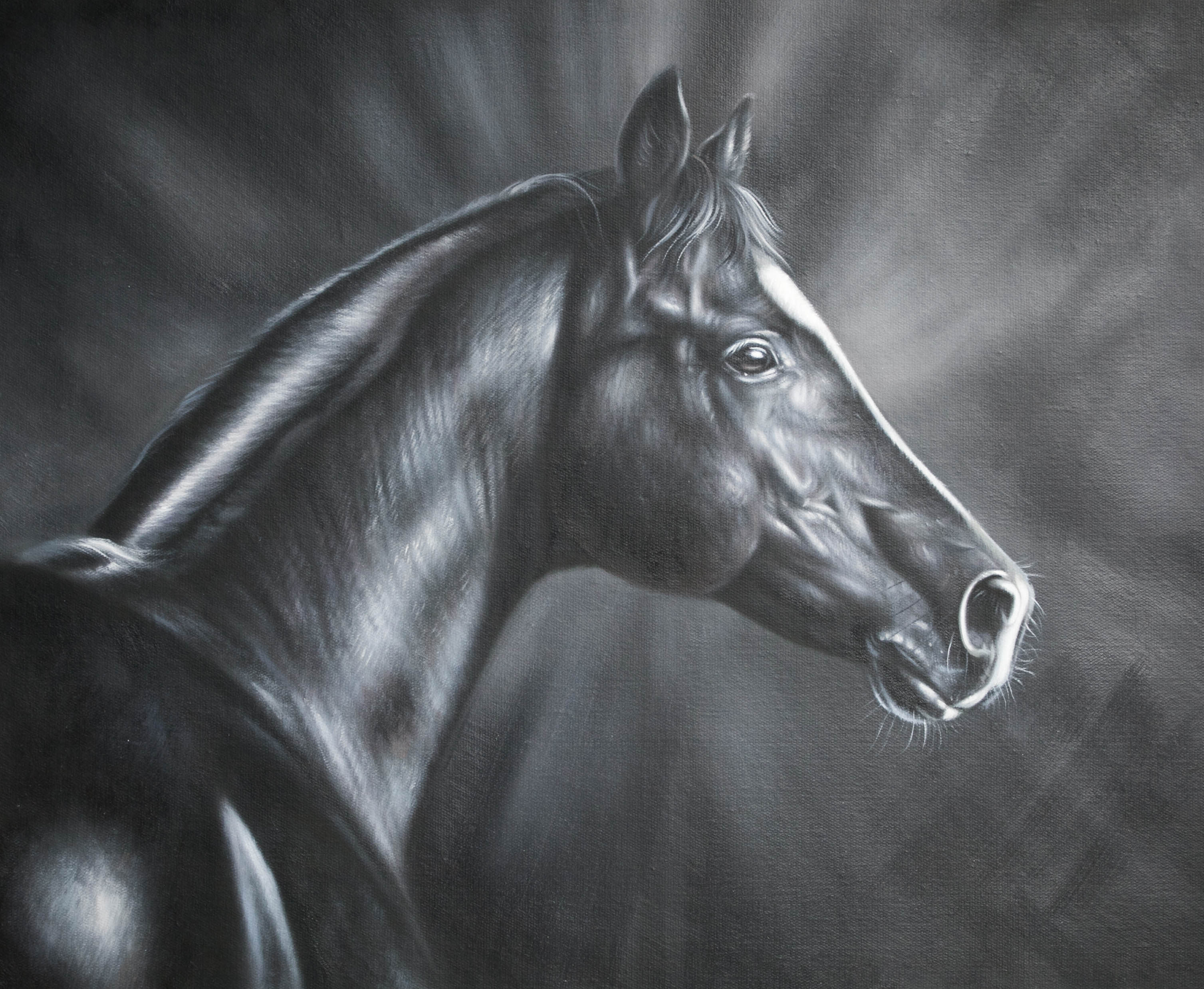 Su Zhangfeng's "Black Horse" boutique hand-painted oil painting