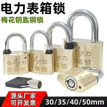 Electricity meter box lock 30mm plum blossom copper lock property state grid outdoor waterproof universal padlock 35mm open meter box